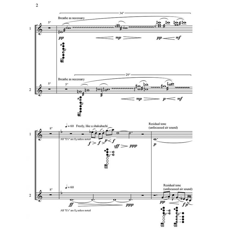 time-is-a-two-way-street-for-two-flutists-robert-dick